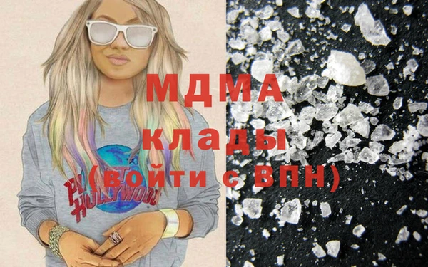 индика Няндома