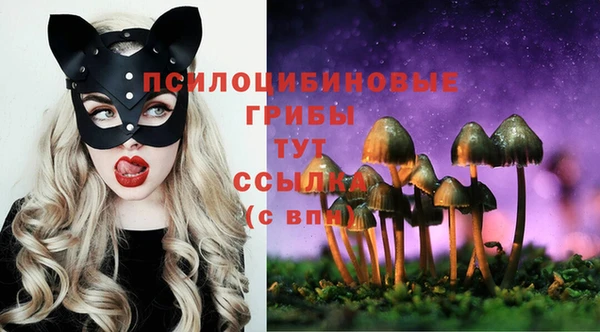 трава Алзамай