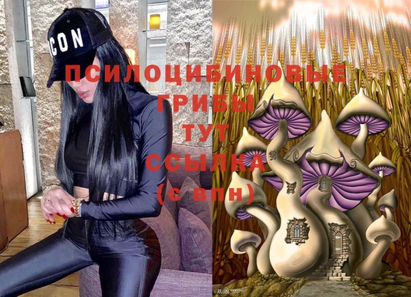 ALPHA-PVP Алексин