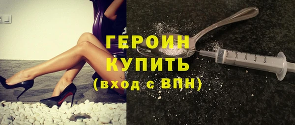 индика Няндома